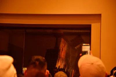 DSC_5646 (Large).JPG